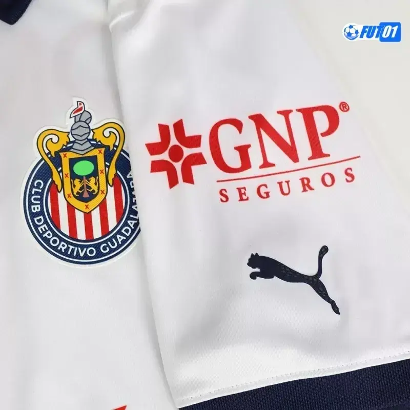 Camiseta Calidad AAA Chivas Segunda Equipación 2024/25 Versión Jugador