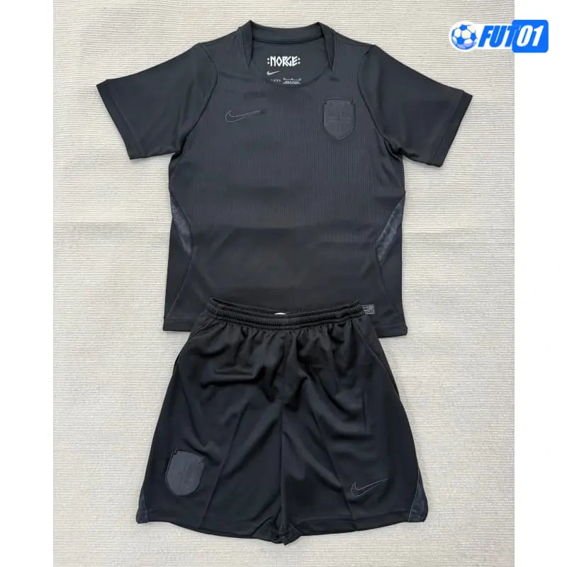 Camiseta Noruega Away Mundial 2026